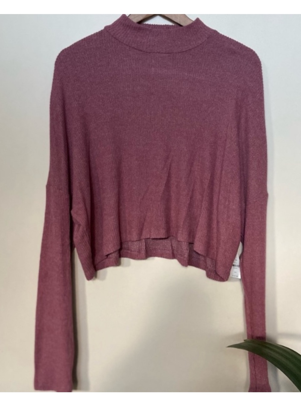 ☀️ Ardene ☀️ mauve long sleeve crop top